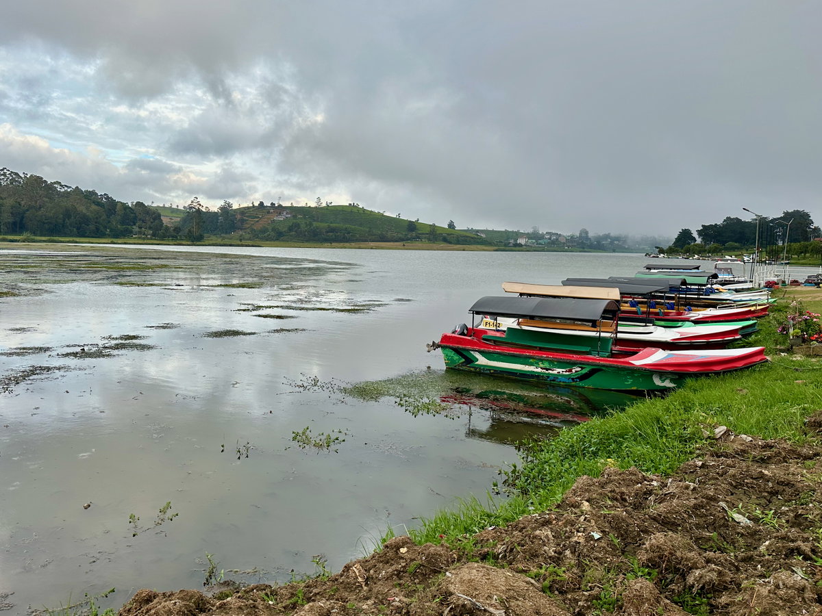 Llac Gregory, Nuwara Eliya, Sri Lanka, 2023