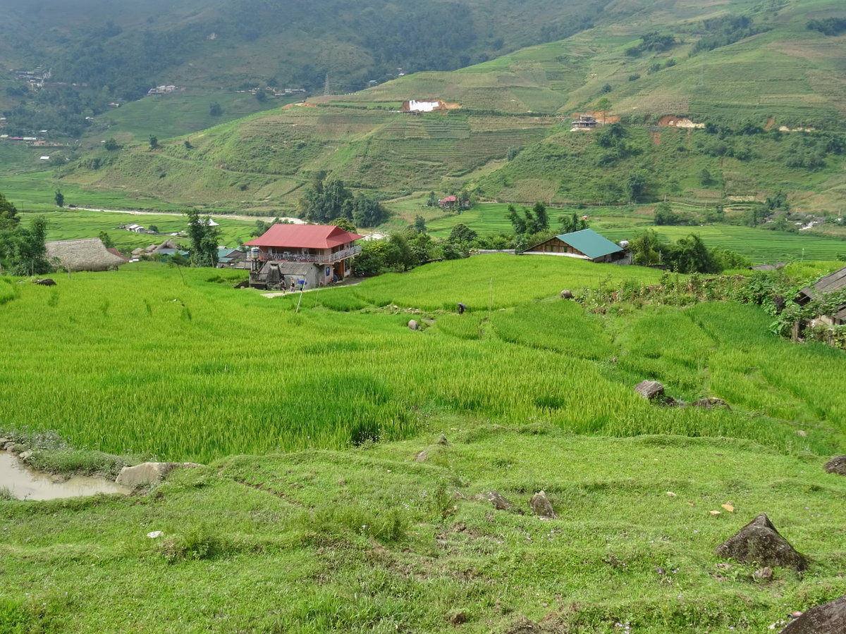 Rice terraces in Tả Van 04, Sa Pa, Vietnam, 2018