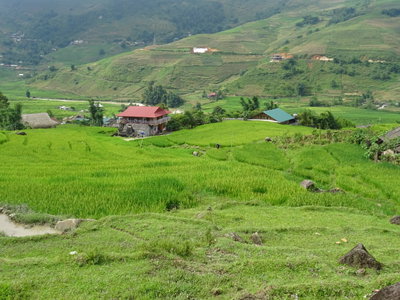 Rice terraces in Tả Van 04, Sa Pa, 2018