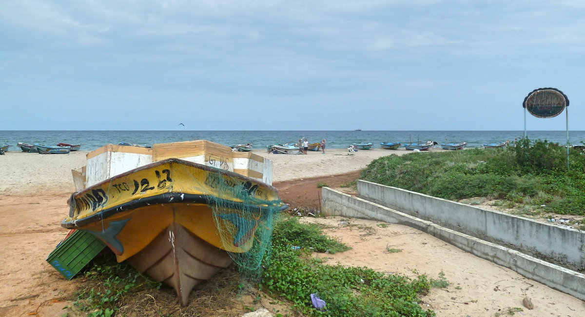 Trinquemalay, retour des pêcheurs au Sri-Lanka, Trincomalee, Sri Lanka, 2015