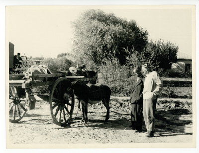 EU: donkey in Samarkand, 1960 (1960), Samarkand, 1960