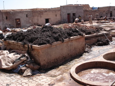 Marrakech tanneries, Marrakech, 2006
