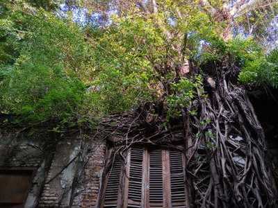 Kota Lama Semarang, Semarang, 2020