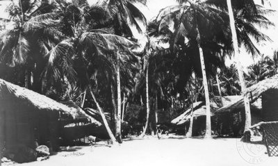 EU: Bread among palm trees, indigenous quarter in Mombasa (1930), Mombasa, Kenya, 1930