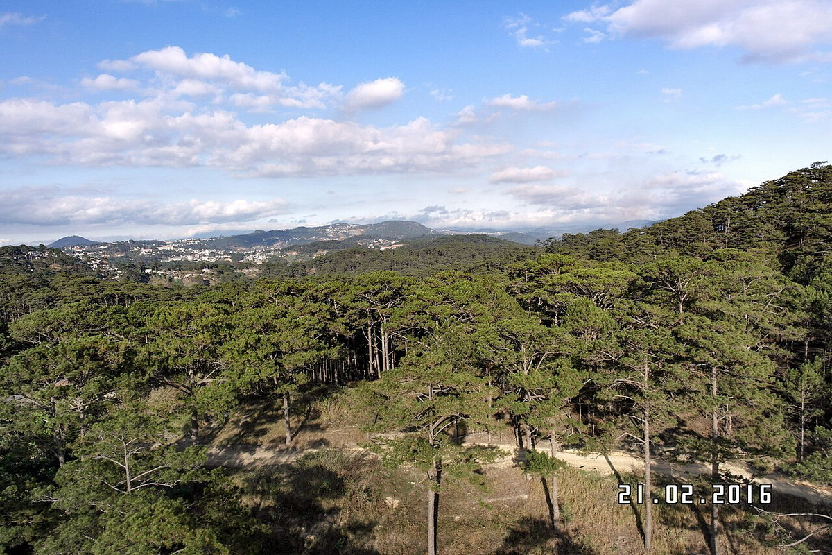 Cáp Treo Đà Lạt, Da Lat, Vietnam, 2016