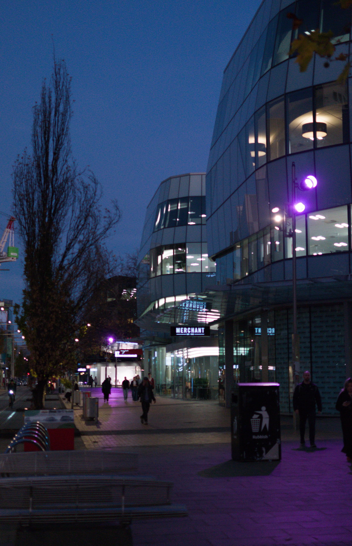 Christchurch Pre-Wikicon sunset photowalk 36 City Mall, Christchurch, New Zealand, 2025
