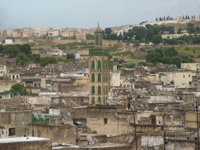 Fes in 2010, Fes, 2010