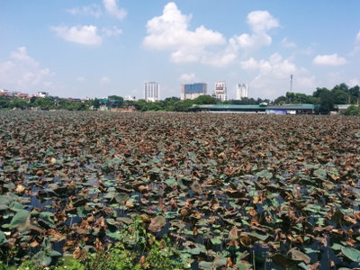 Around West Lake (Ho Tay) 14, Hanoi, 2017
