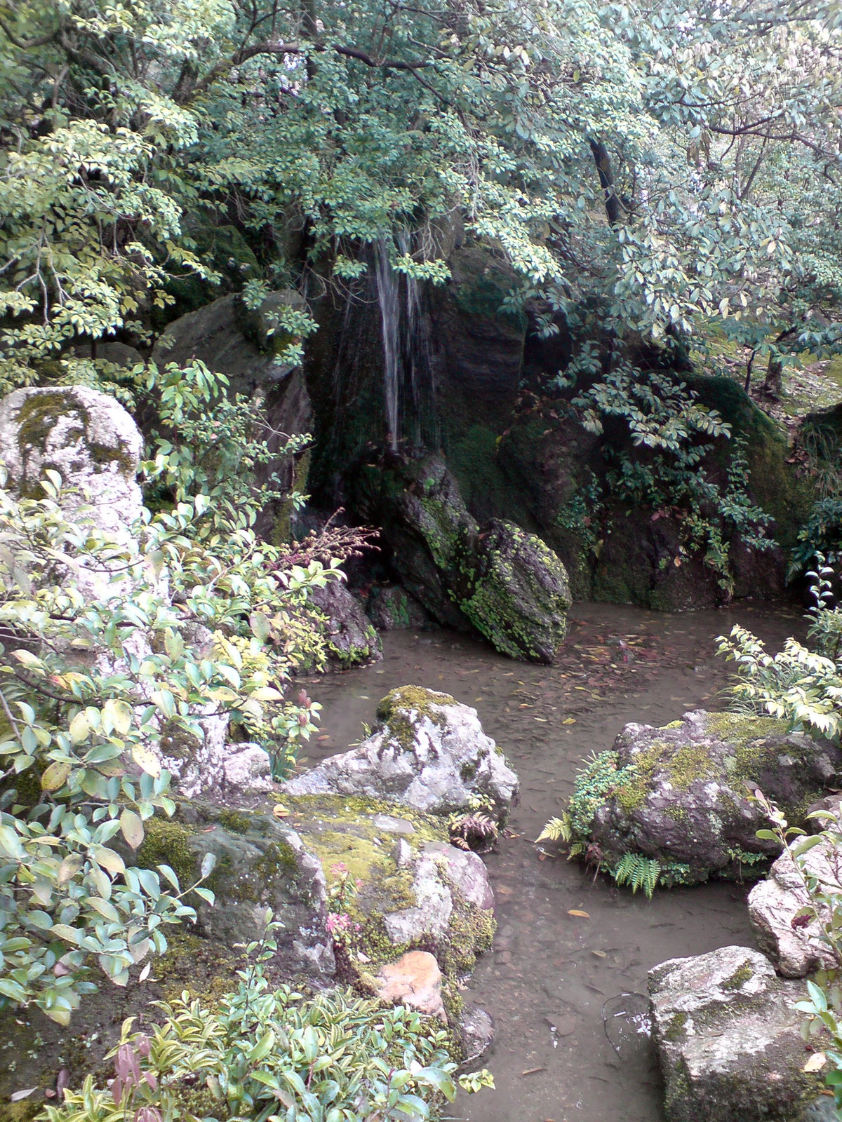 Kyoto Golden Pavillion, Kyoto, Japan, 2008
