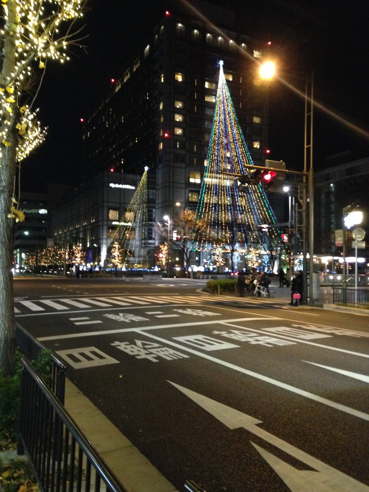 View of Kawaramachi-Oike Crossroads at night, Kyoto, Japan, 2013