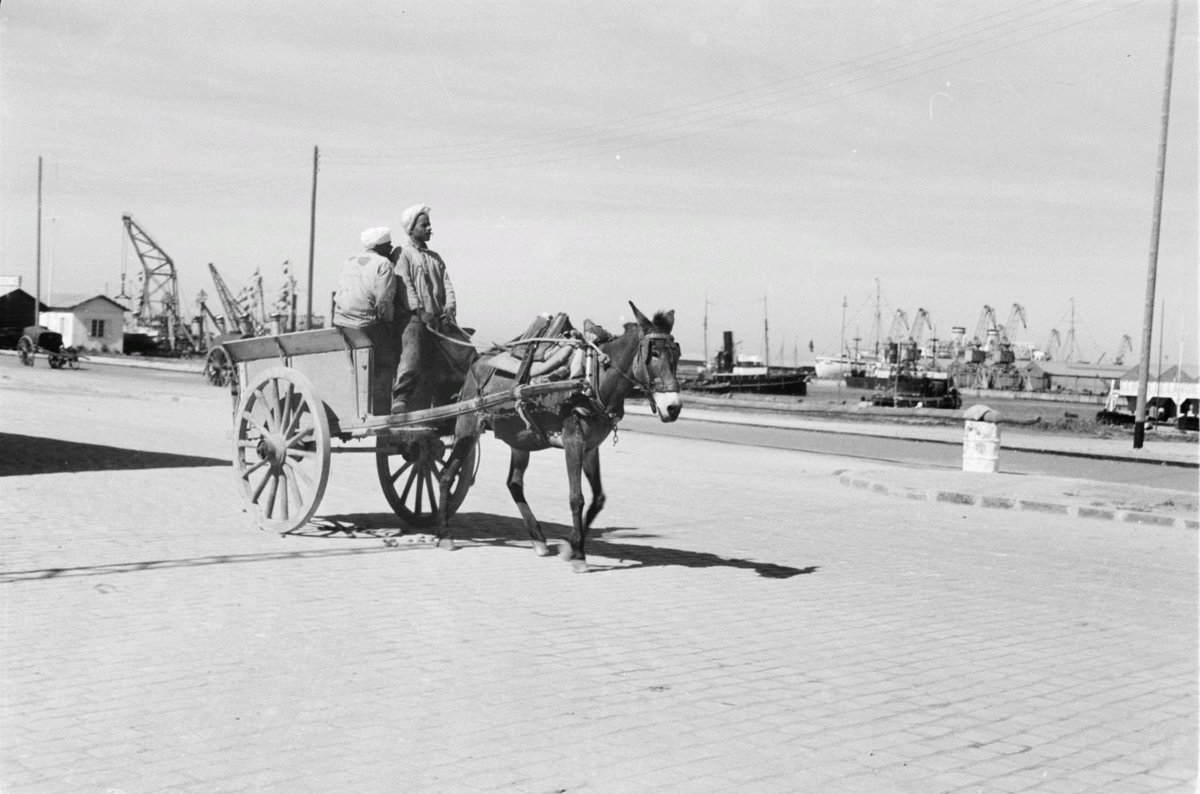 EU: Reisefotos Marokko. Eselskarren an einem Hafen (wahrscheinlich in Casablanca) (1939), Casablanca, Morocco, 1939