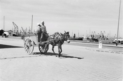 EU: Reisefotos Marokko. Eselskarren an einem Hafen (wahrscheinlich in Casablanca) (1939), Casablanca, 1939