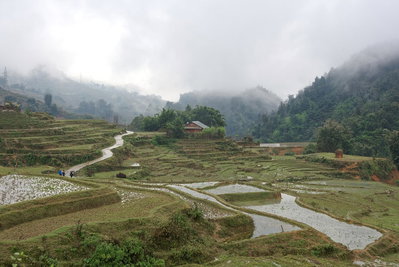 Road and paddy fields in Sa Pa, Vietnam, 1203, Sa Pa, 2024