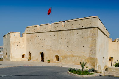 Fez in 2011, Fez, 2011