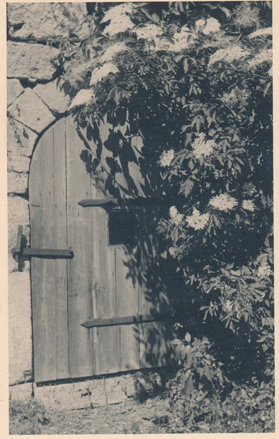 Tallinn in 1935, Tallinn, 1935