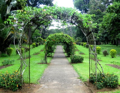 Flickr - ronsaunders47 - PATH AND ARCHES, Kandy, 2010