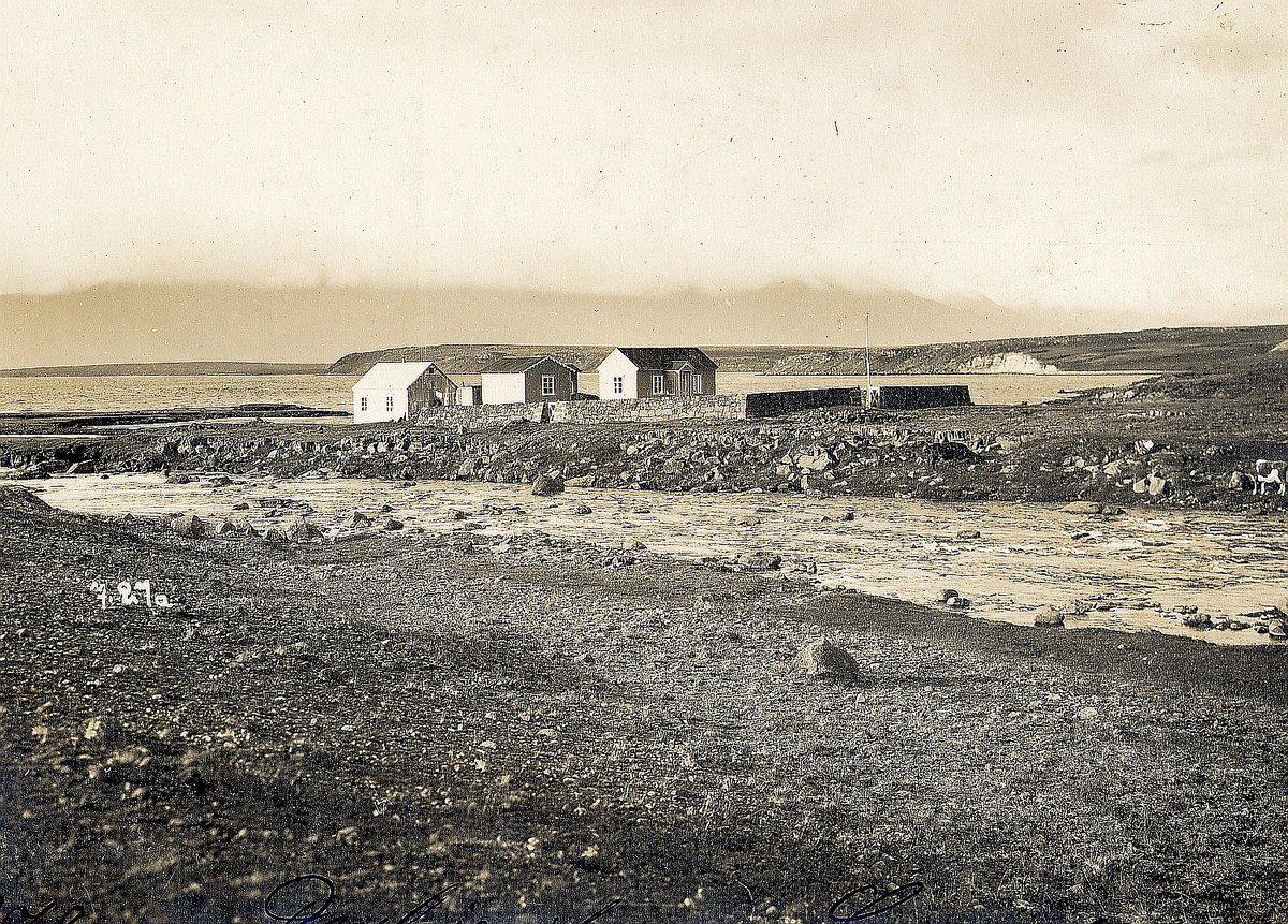 EU: Reykjavík Küstenlandschaft mit drei Wohnhäusern (1912), Reykjavik, Iceland, 1912