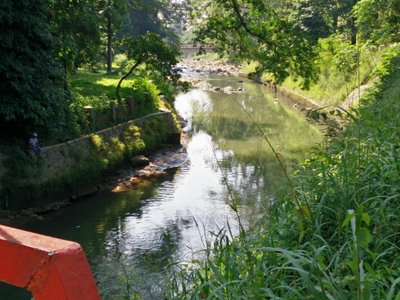 Bogor botanical gardens 2016 24, Bogor, 2016