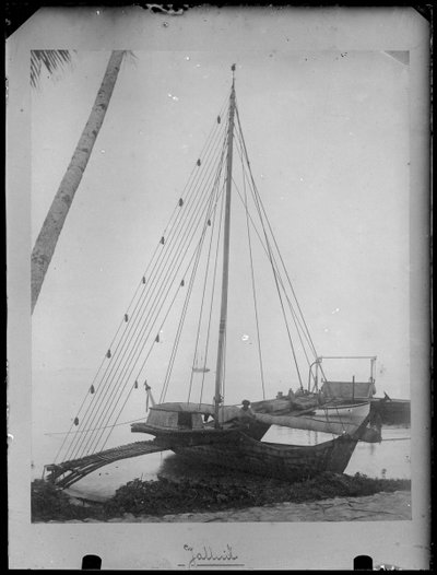 EU: En utriggarkanot ligger på stranden på Jaluit. (1884), Jaluit, 1884