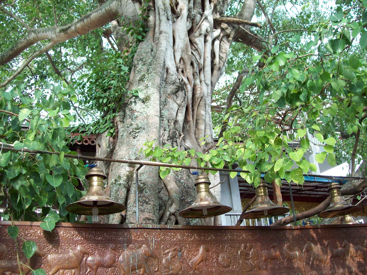 Gangaramaya Temple, Colombo, Sri Lanka, 2012