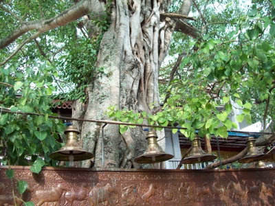 Gangaramaya Temple, Colombo, 2012