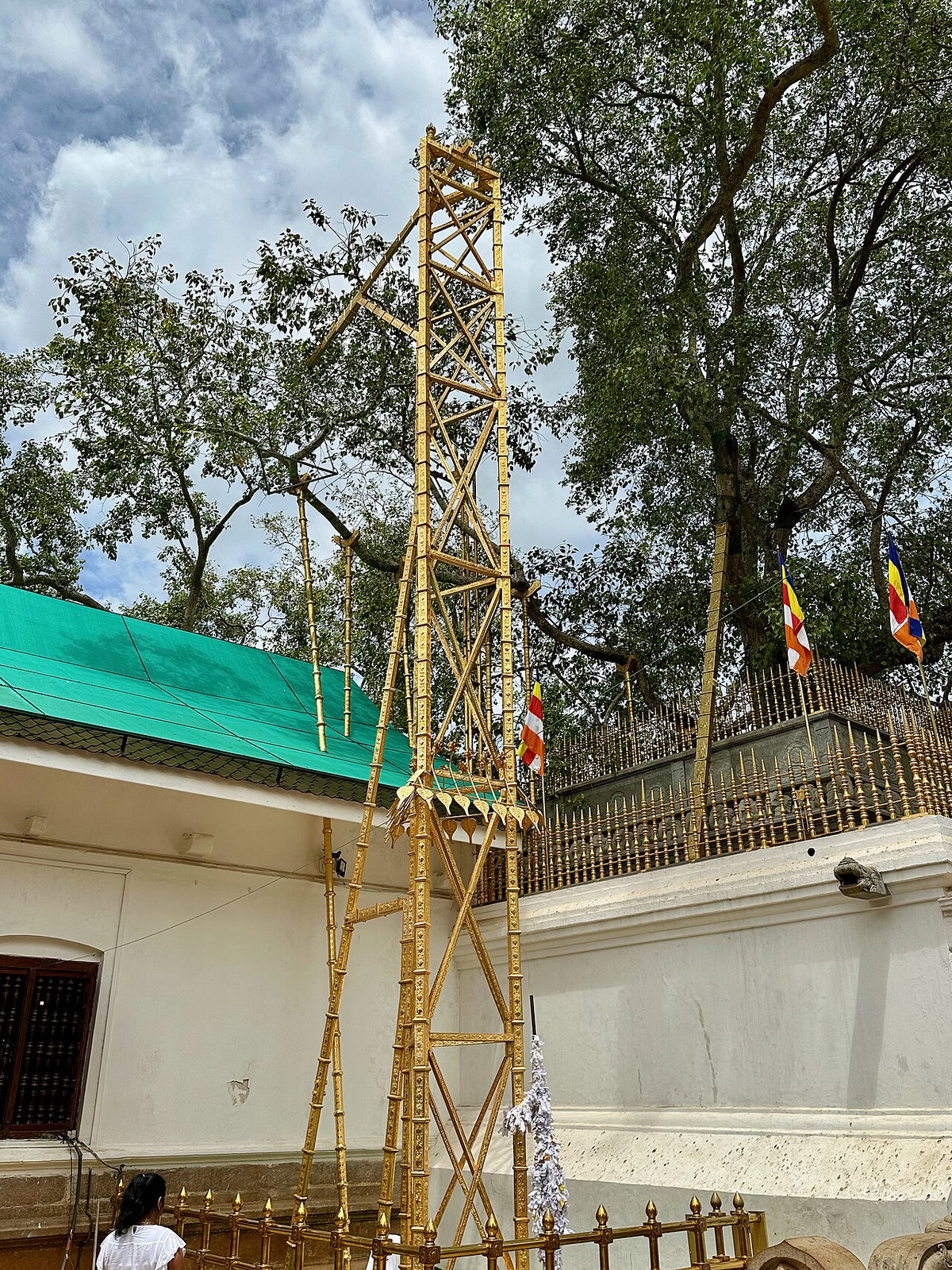 Jaya Sri Maha Bodhi - Arbre sagrat, Anuradhapura, Sri Lanka, 2023