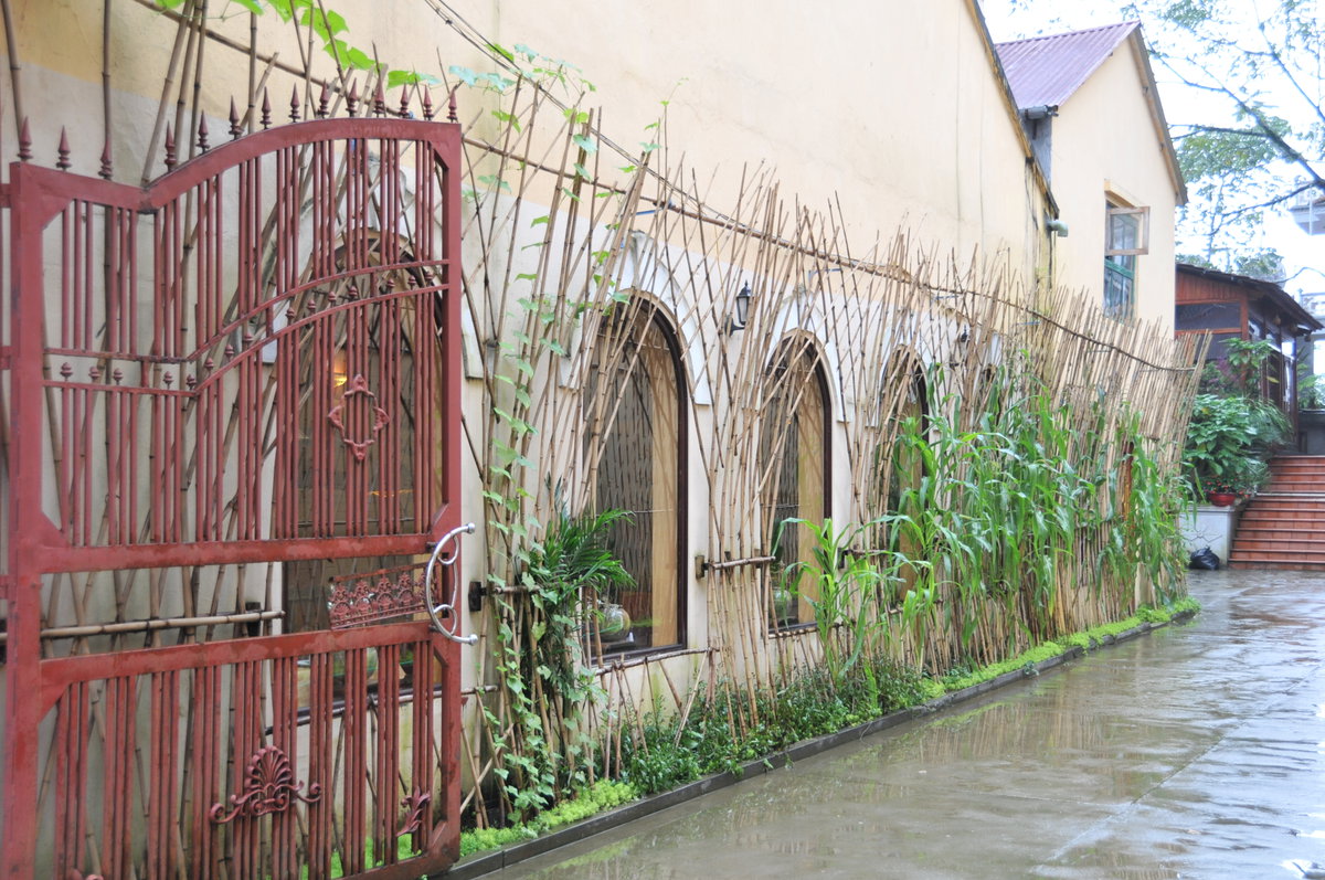 Rào tre, Sa Pa, Vietnam, 2010