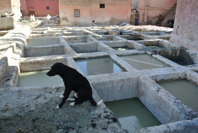 Medina, Marrakesh, Morocco, Marrakech, 2012