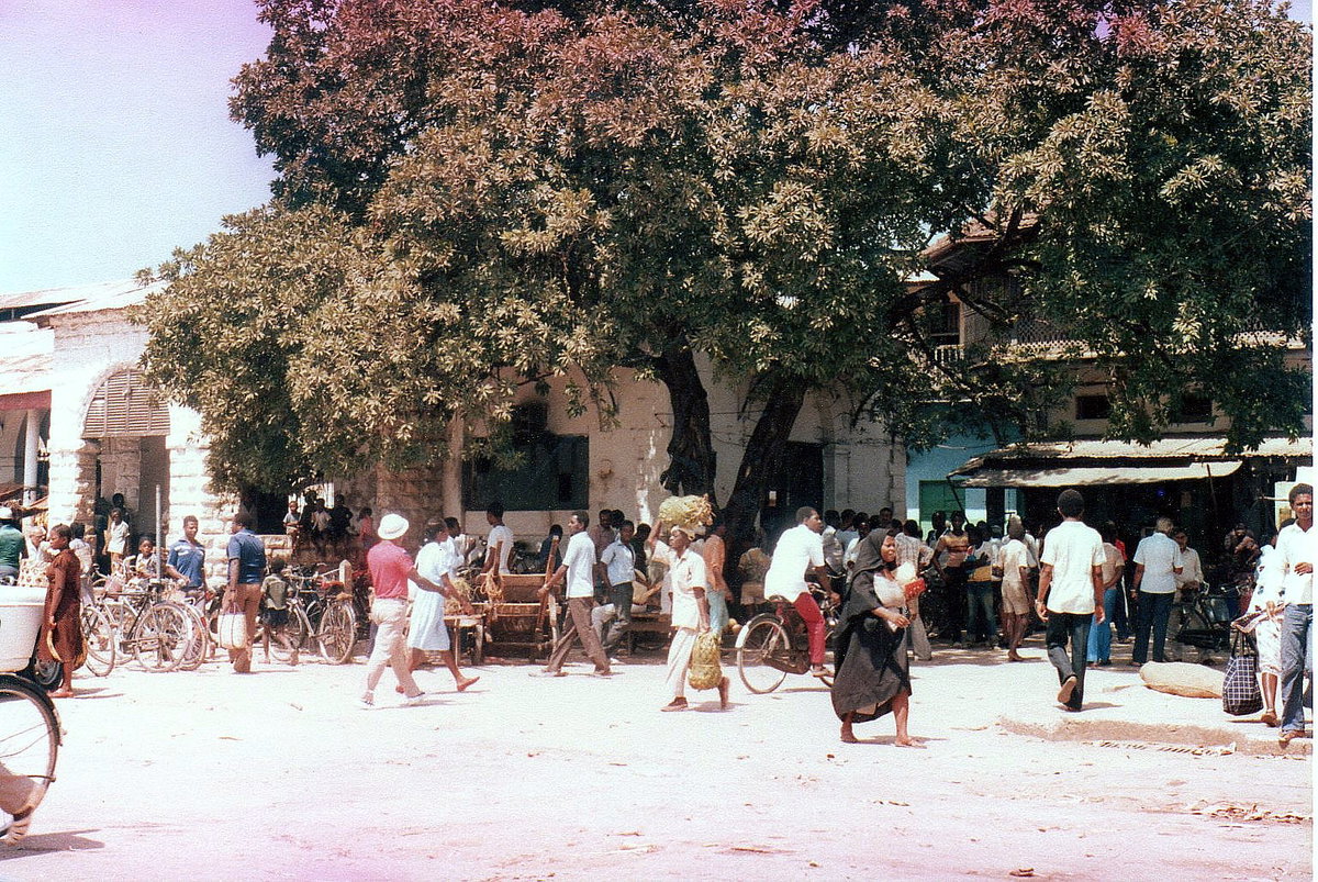 Zanzibar market, Zanzibar City, Tanzania, 2008