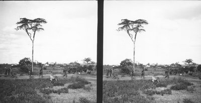 EU: Landscape in the vicinity of Nairobi (1927), Nairobi, Kenya, 1927