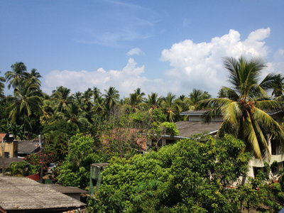 Village Greenery, Colombo, 2013