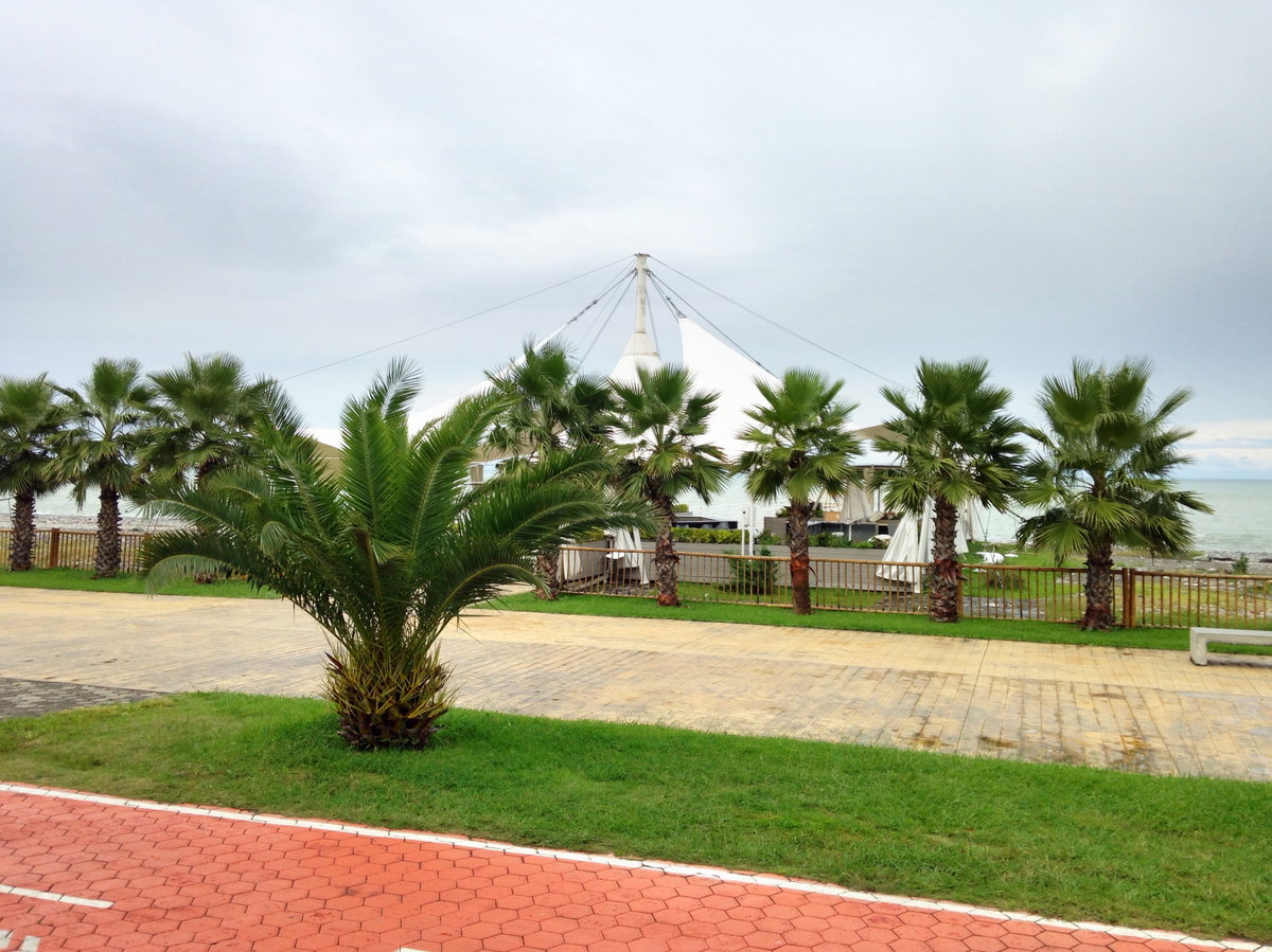 Батуми, Аджария, Batumi, Georgia, 2013
