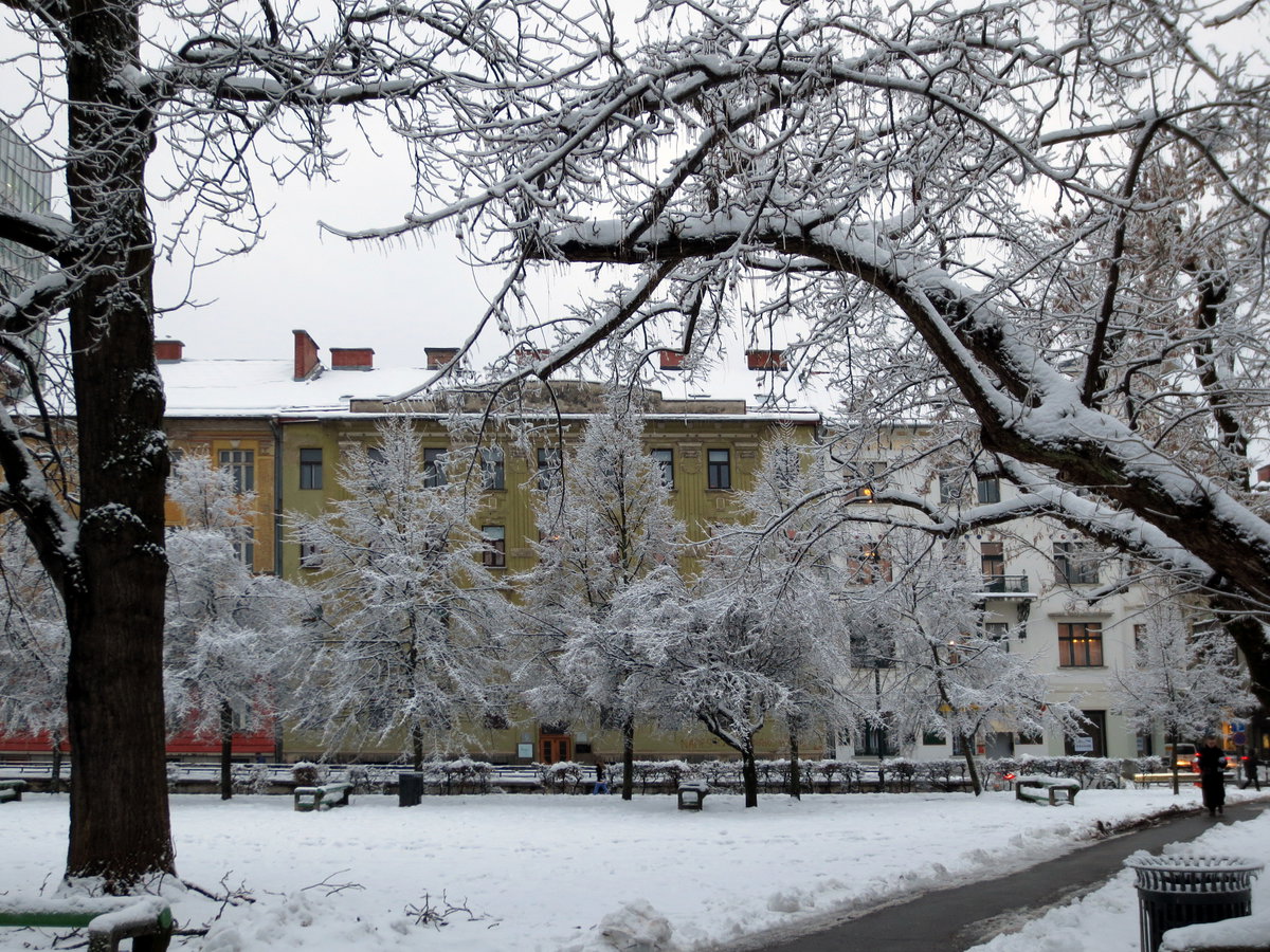 Zima, Ljubljana, Slovenia, 2014