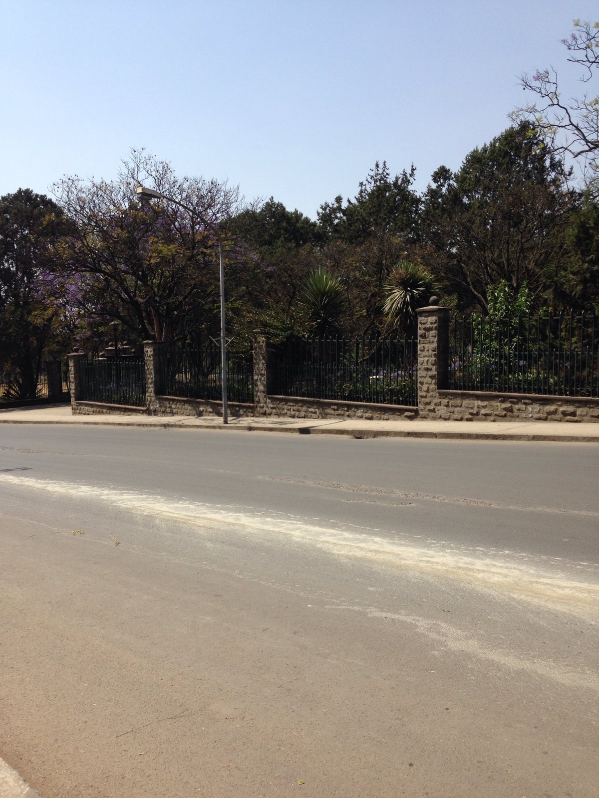 Africa Park from Menelik II Avenue, Addis Ababa, Ethiopia, Addis Ababa, Ethiopia, 2014