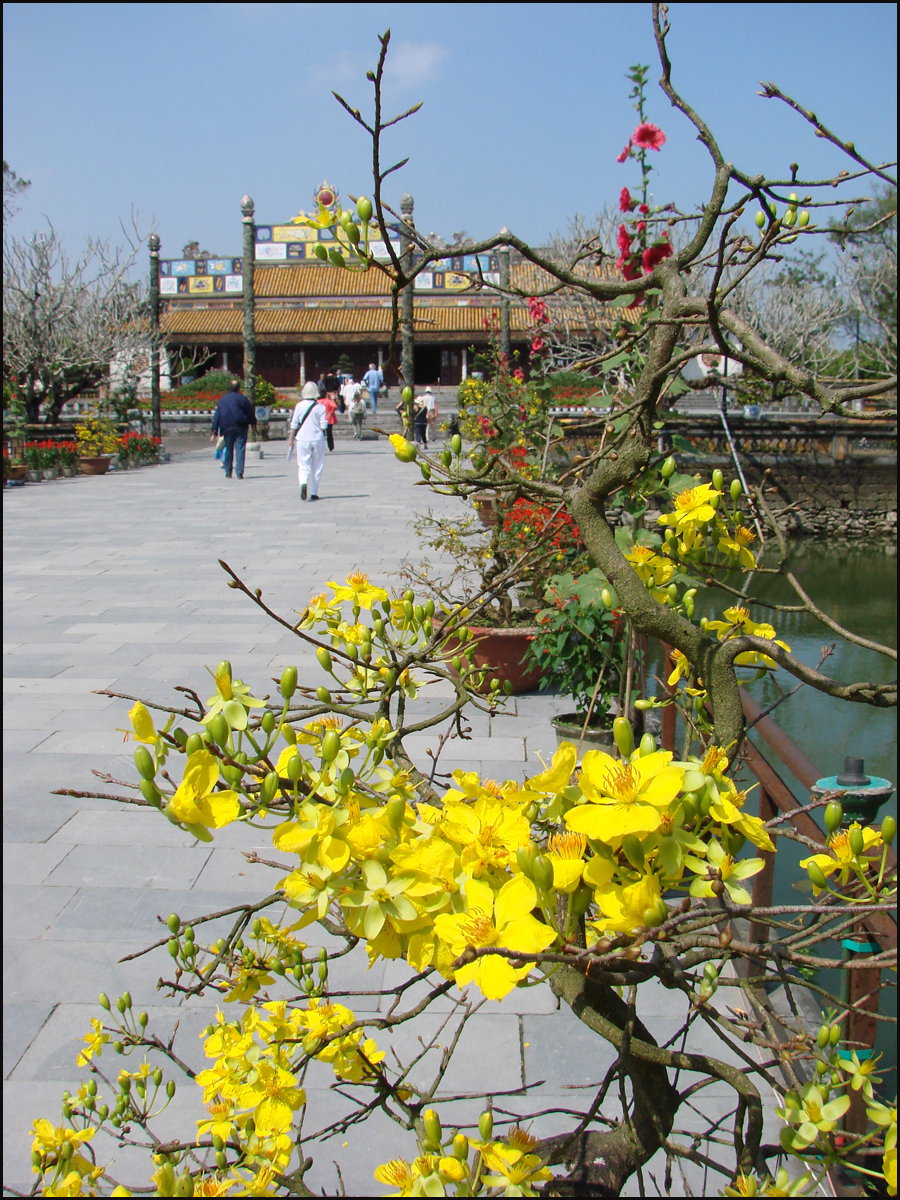 Le pont aux Eaux dorées (Cité impériale, Hué), Hue, Vietnam, 2010