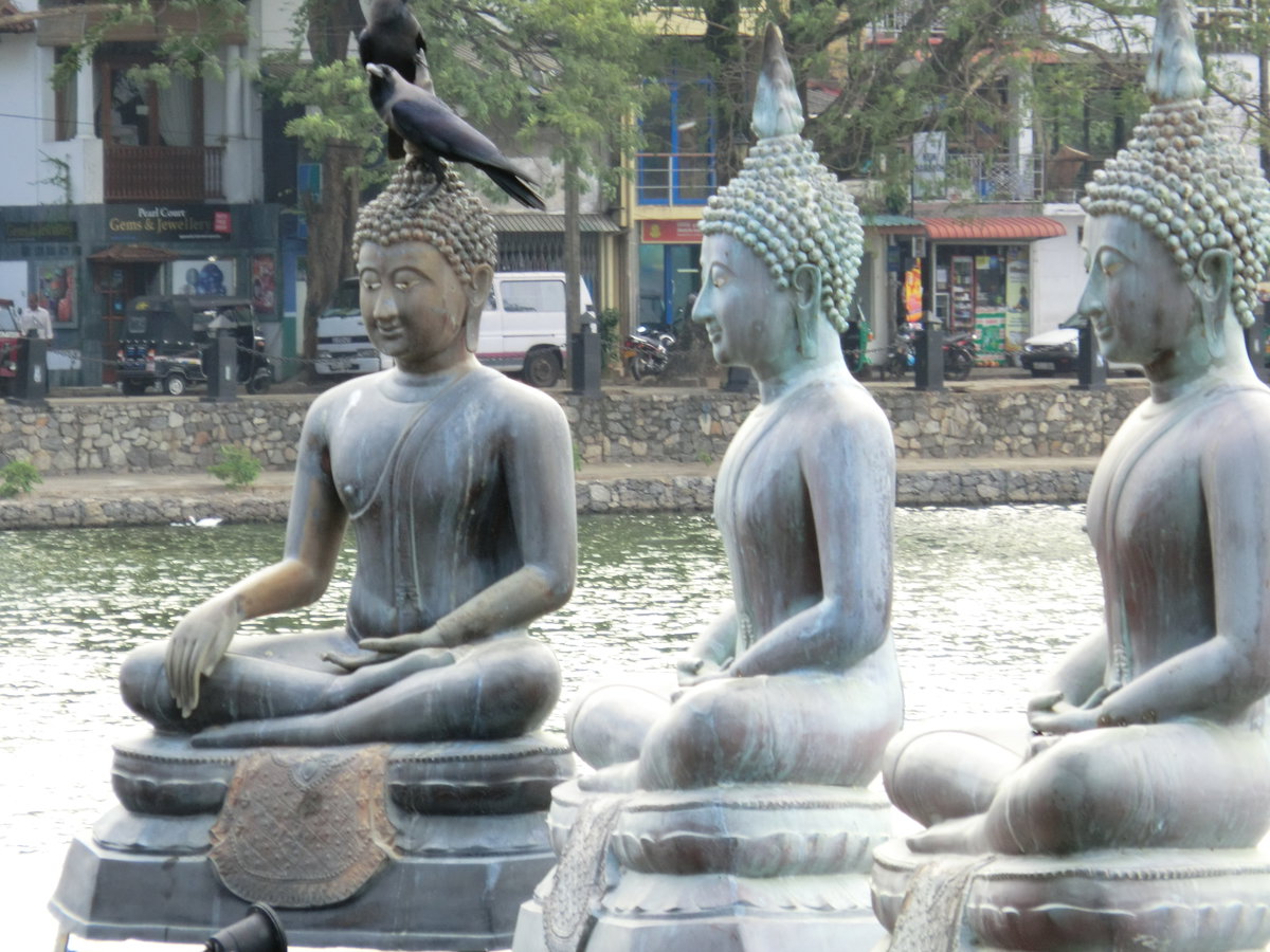 Wekanda, Colombo, Sri Lanka, Colombo, Sri Lanka, 2012