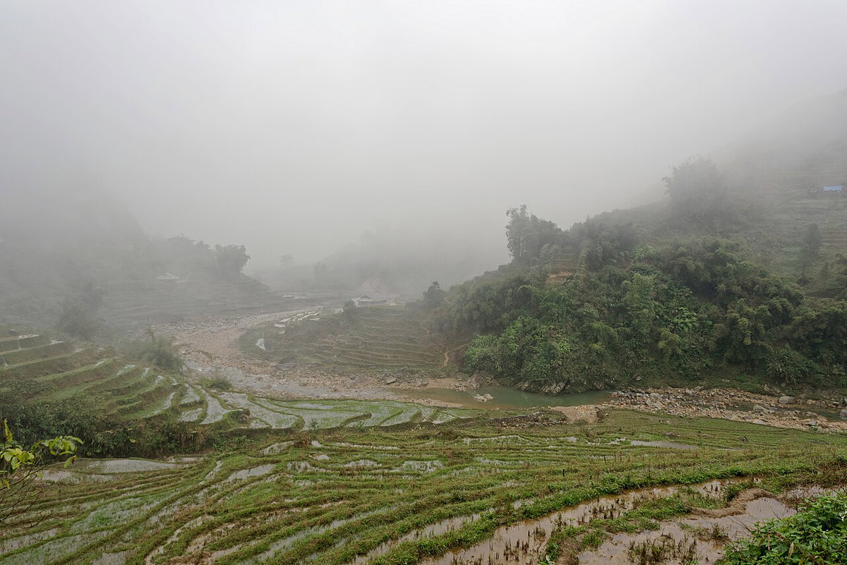 Paddy fields in Lào Cai, Sa Pa, Vietnam, 1049, Sa Pa, Vietnam, 2024