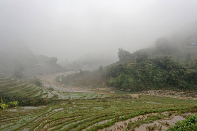 Paddy fields in Lào Cai, Sa Pa, Vietnam, 1049, Sa Pa, 2024