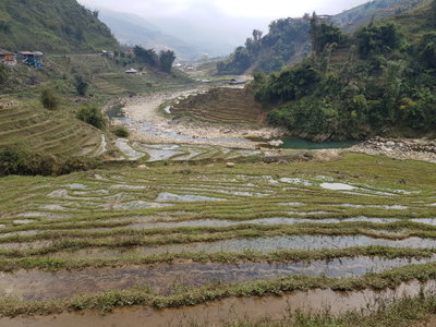 Ta Van Muong Ha vallei (56941), Sa Pa, 2025