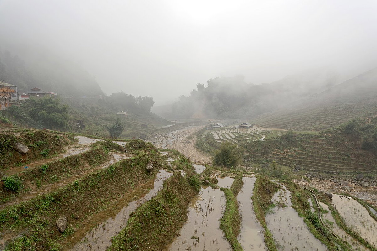 Paddy fields in Lào Cai, Sa Pa, Vietnam, 1051, Sa Pa, Vietnam, 2024