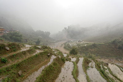 Paddy fields in Lào Cai, Sa Pa, Vietnam, 1051, Sa Pa, 2024