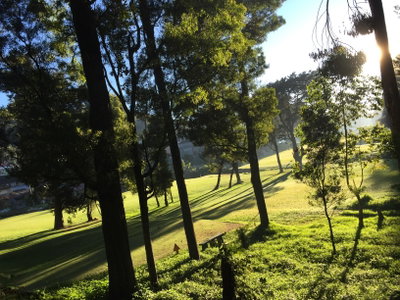 Greenery Nuwara Eliya, Nuwara Eliya, 2020