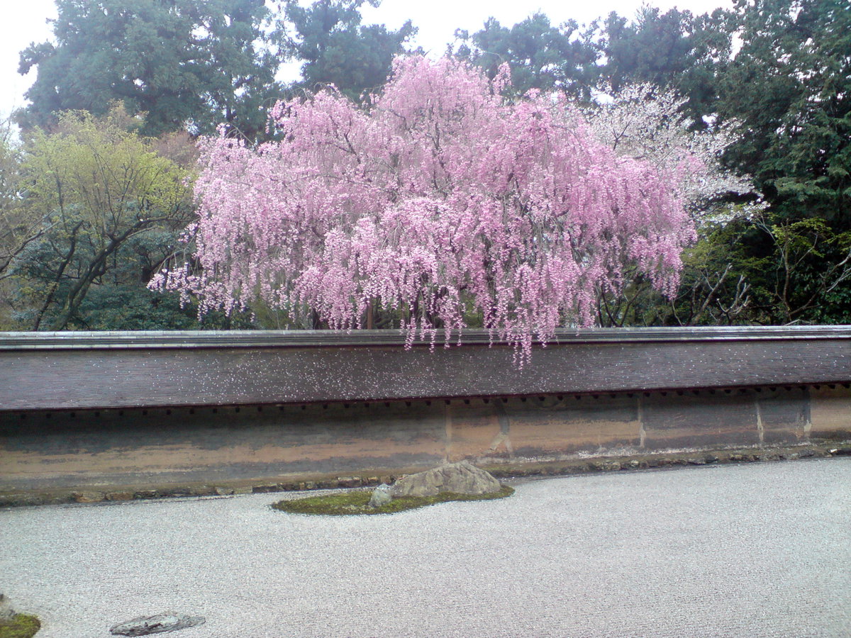 Kyoto Ryoanji Shrine, Kyoto, Japan, 2008