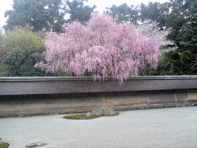 Kyoto Ryoanji Shrine, Kyoto, 2008