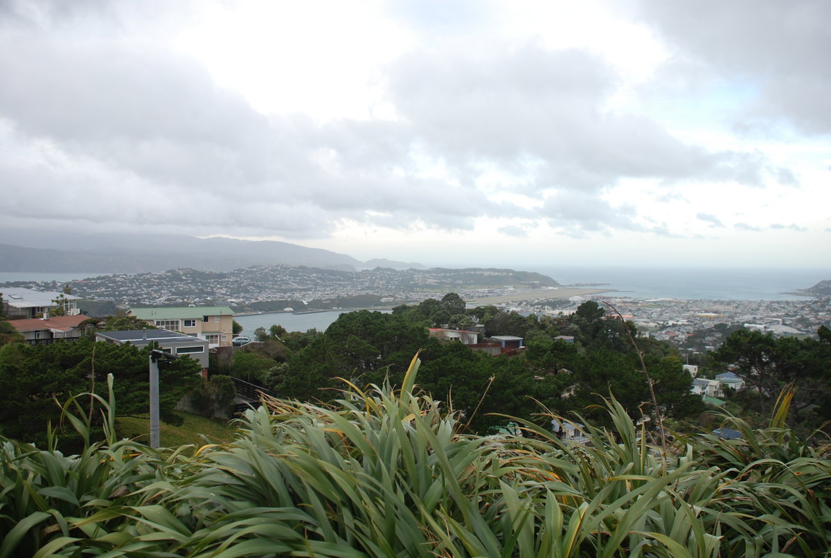 Panoramic View of Wellington NZ, Wellington, New Zealand, 2013