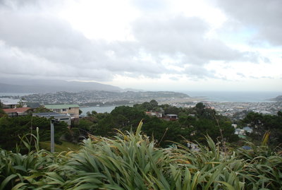 Panoramic View of Wellington NZ, Wellington, 2013