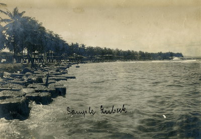 EU: Colón, Panama. Blick in die Bucht entlang des Palmenstrandes mit großen Steinblöcken als Wellenbrecher, im Hintergrund Wohnhäuser oder Strandhäuser (1915), Colón, 1915
