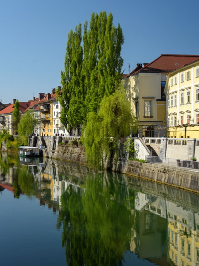 Ljubljana, Ljubljana, 2017
