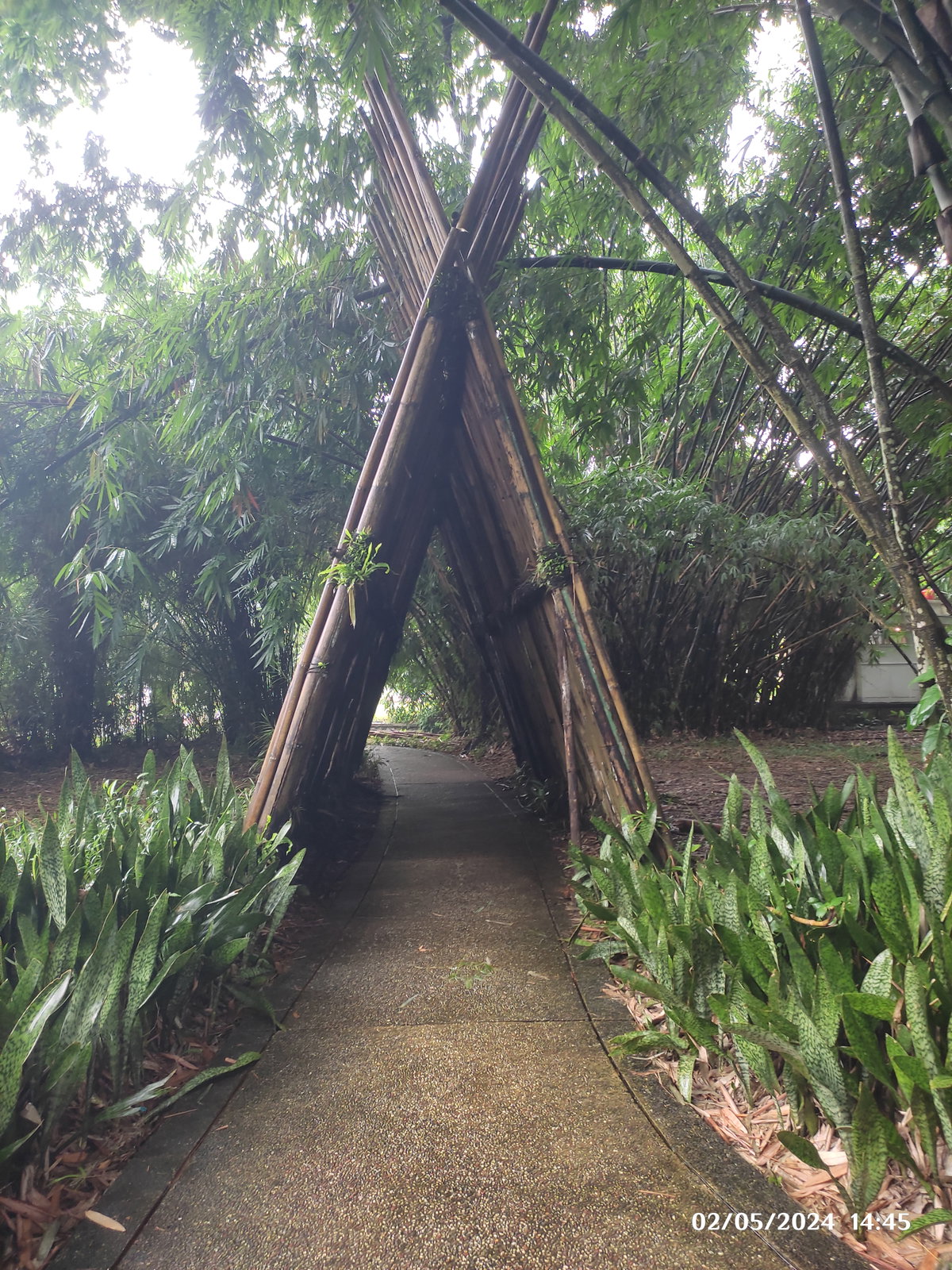 Jalan Ke Kuburan di Kebun Raya Bogor, Bogor, Indonesia, 2024