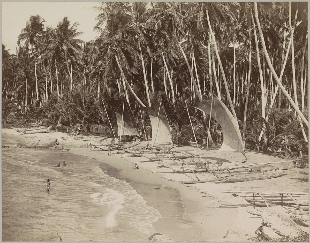 EU: Strand met palmbomen en boten, Galle (1895), Galle, Sri Lanka, 1895